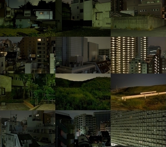 Weekly Photos - No.33