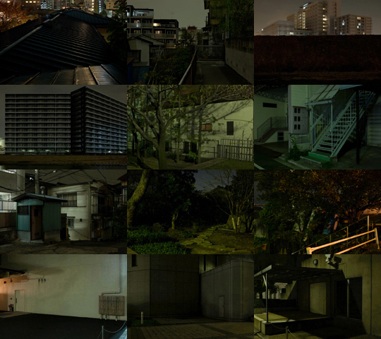 Weekly Photos - No.37