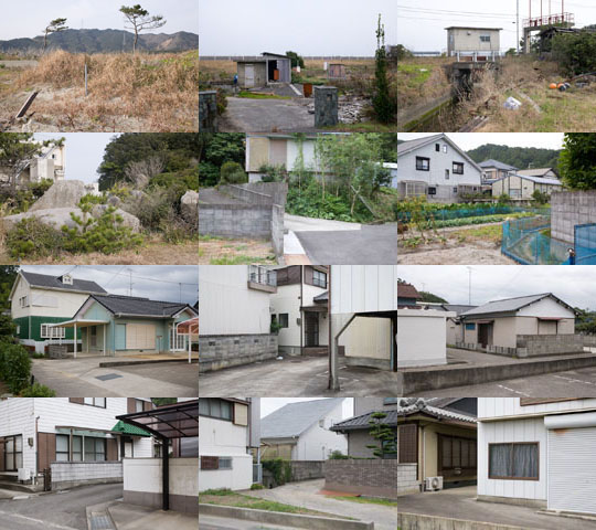 Weekly Photos - No.41