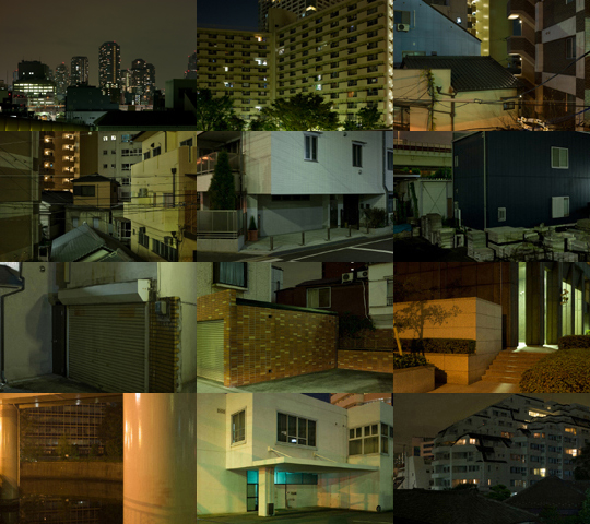 Weekly Photos - No.42