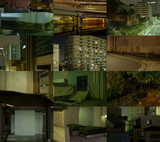 Weekly Photos - No.43