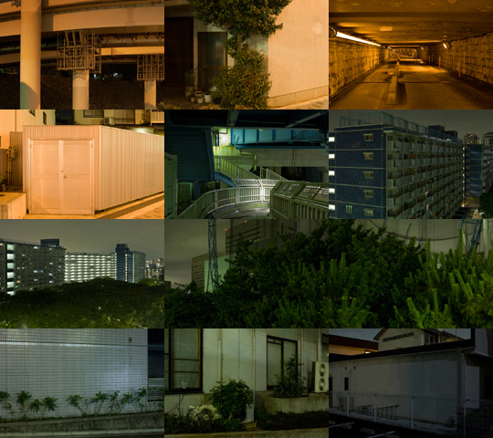 Weekly Photos - No.49