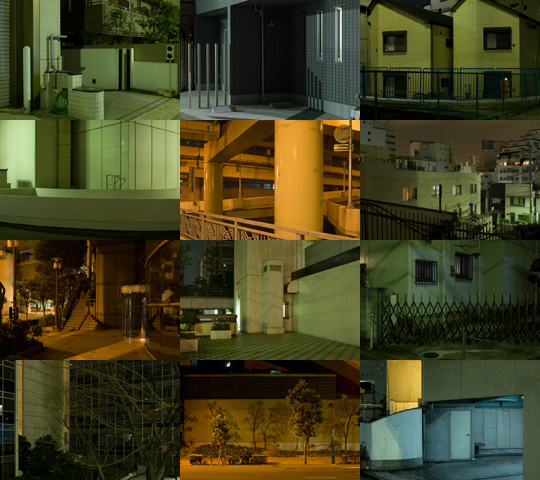 Weekly Photos - No.51