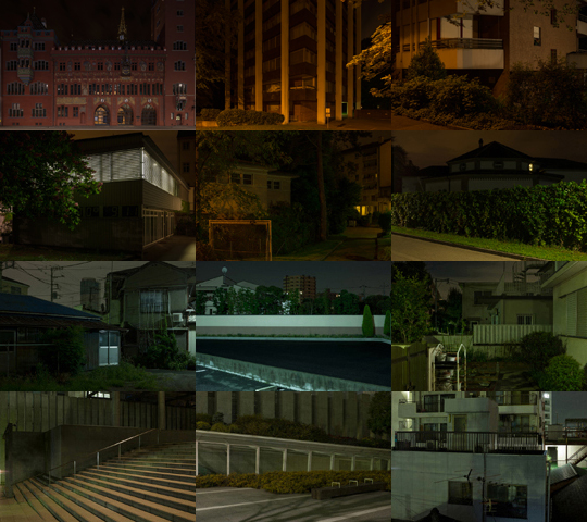 Weekly Photos - No.52