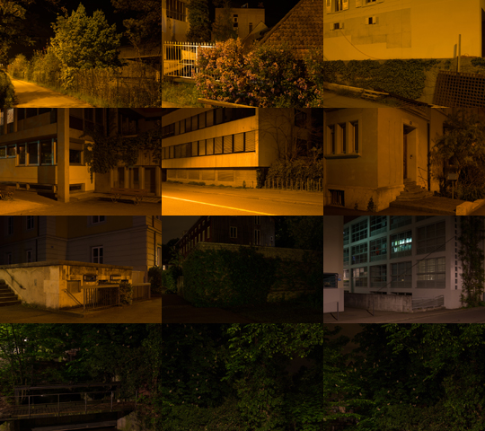 Weekly Photos - No.53