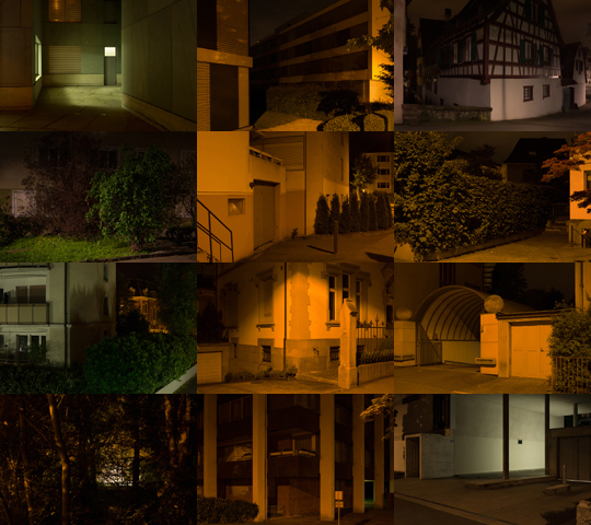 Weekly Photos - No.54