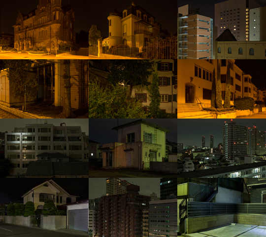 Weekly Photos - No.58